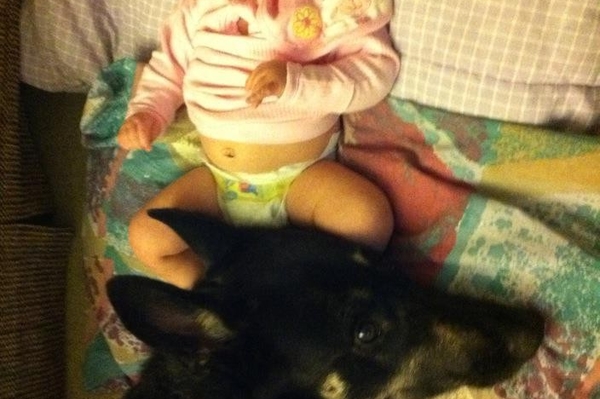 news.distractify.com