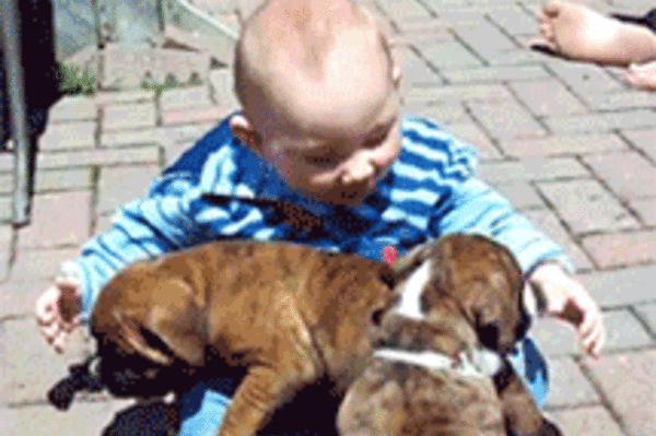 news.distractify.com