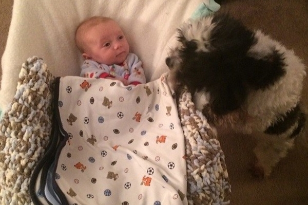 news.distractify.com