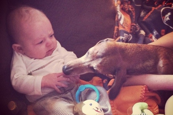 news.distractify.com