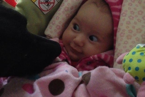 news.distractify.com