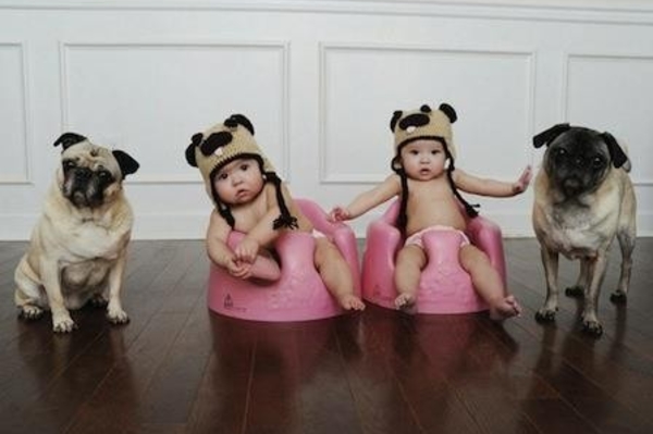 news.distractify.com