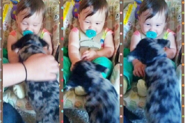 news.distractify.com