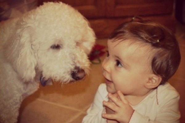 news.distractify.com