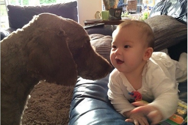 news.distractify.com