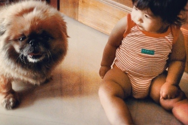 news.distractify.com