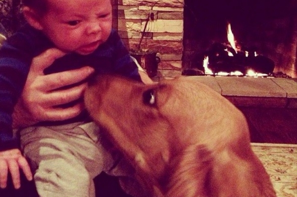 news.distractify.com