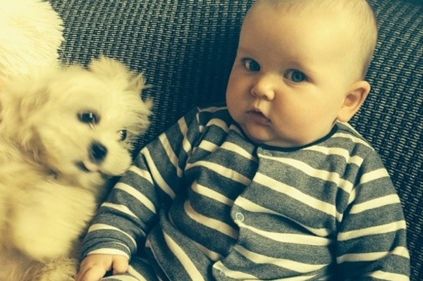 news.distractify.com