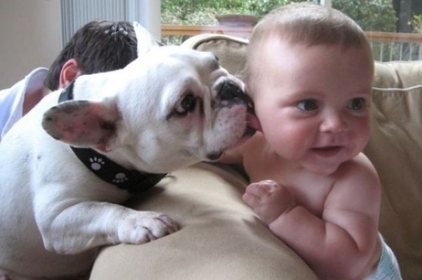 news.distractify.com