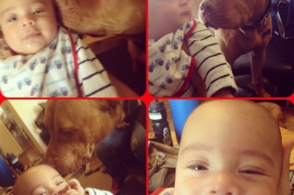 news.distractify.com