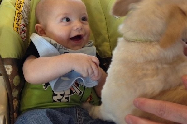 news.distractify.com