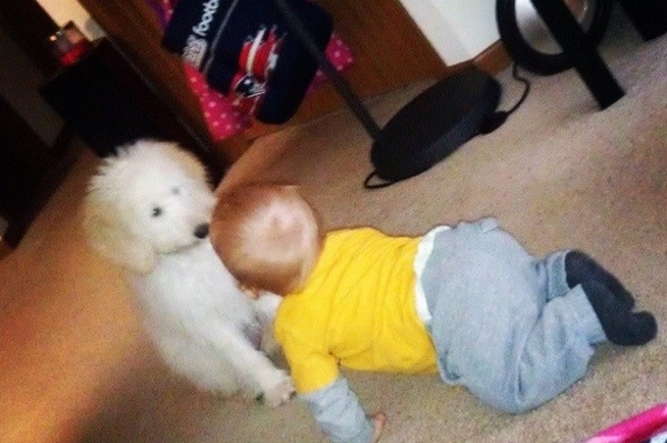 news.distractify.com