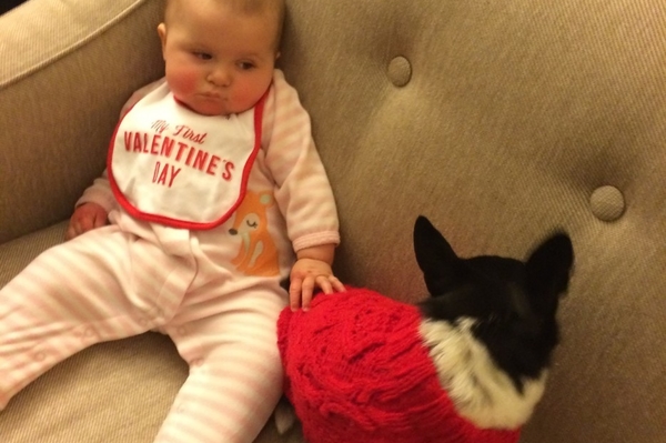 news.distractify.com