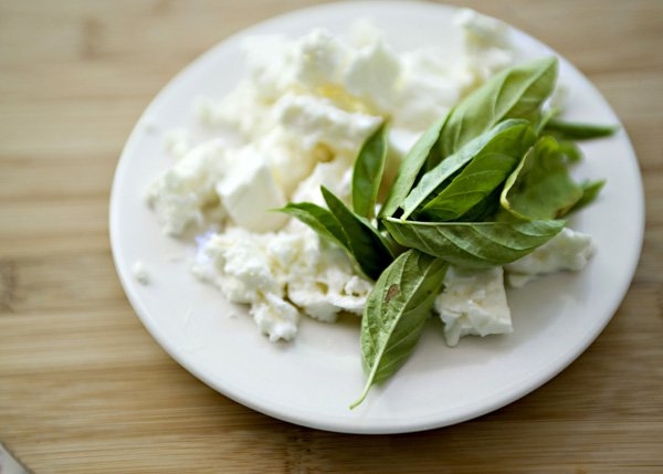 Самые популярные сыры: ТОП-5 видов