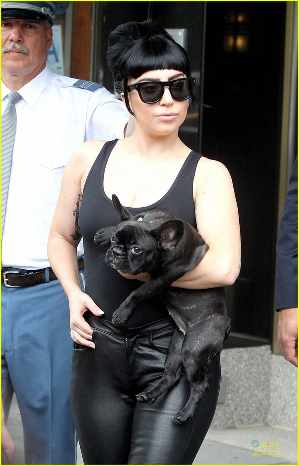 Lady GaGa вышла на прогулку с любимой собакой