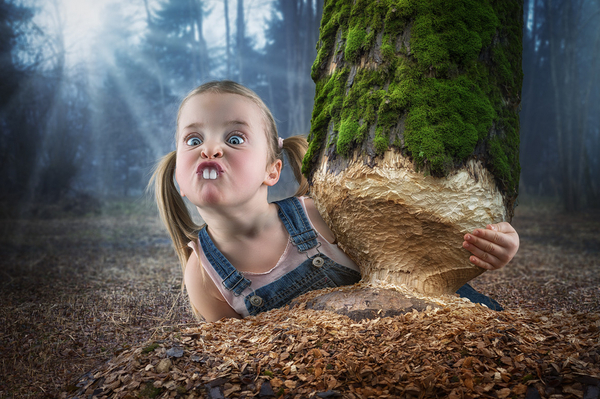johnwilhelm.ch