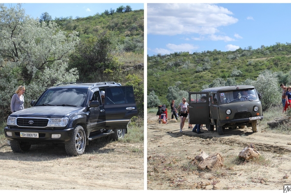 Юлия Мясоедова