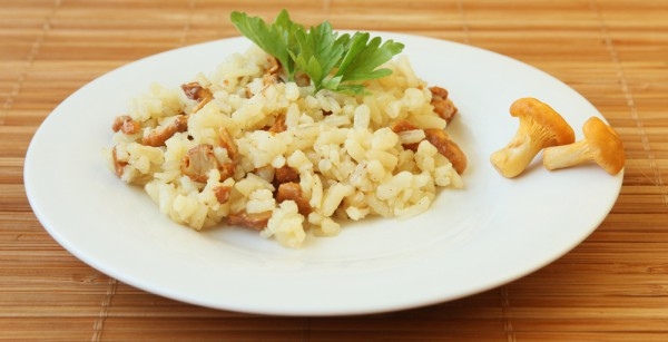 Блюда из лисичек: ТОП-5 рецептов