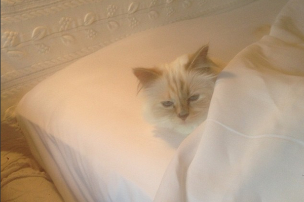 instagram.com/karllagerfeld