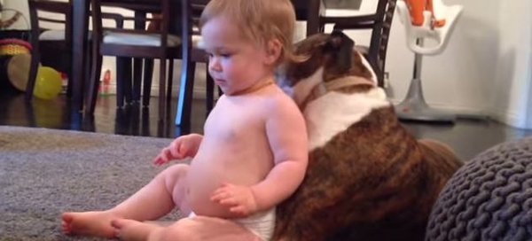 Время купания: Пес вылизывает младенца