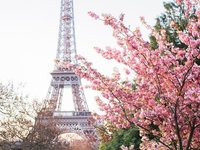 Что посмотреть в Париже за пять дней