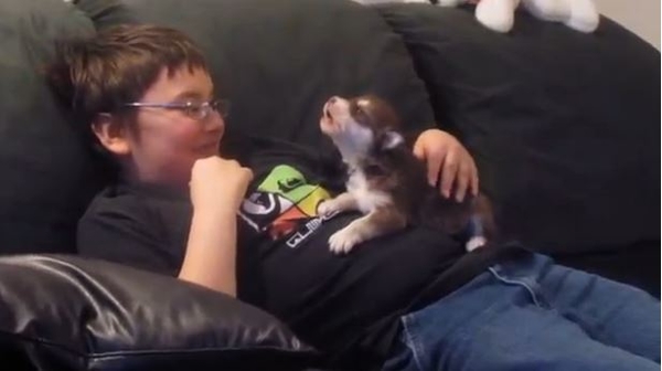 Мальчик учит щенка маламута петь