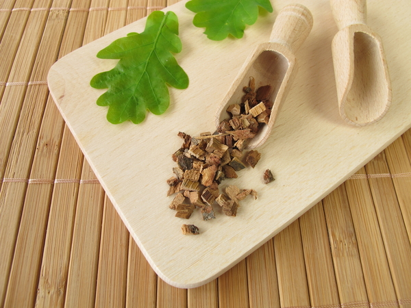 Чем полезна кора дуба