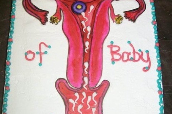 news.distractify.com