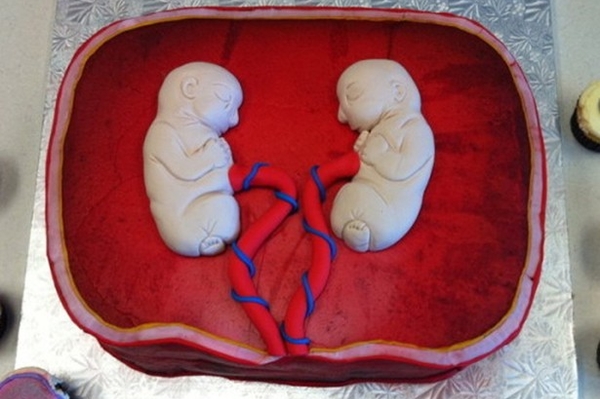 news.distractify.com