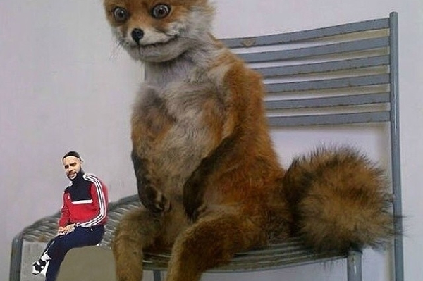 websta.me/n/timatiofficial