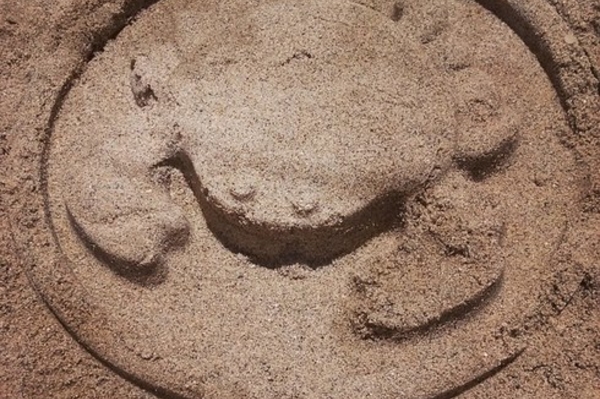 instagram.com/kohleg89