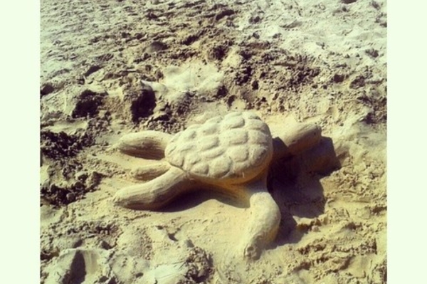 instagram.com/bgg_fotografia