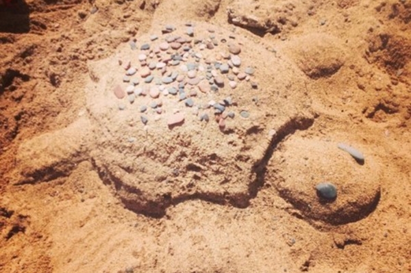 instagram.com/samheffelfinger