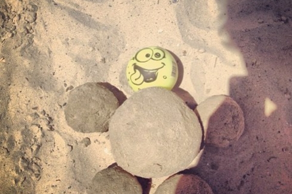 instagram.com/obscuromelis