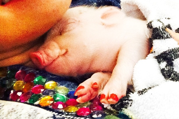 instagram.com/Майли Сайрус