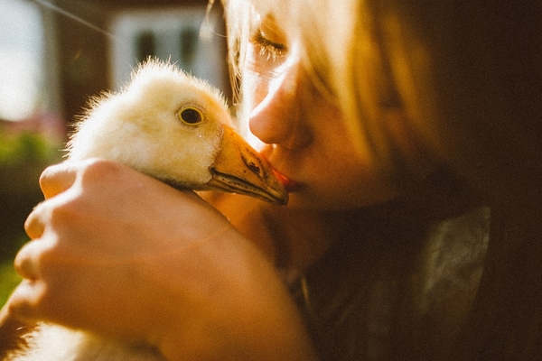 Лето, пока: Какими были каникулы в деревне