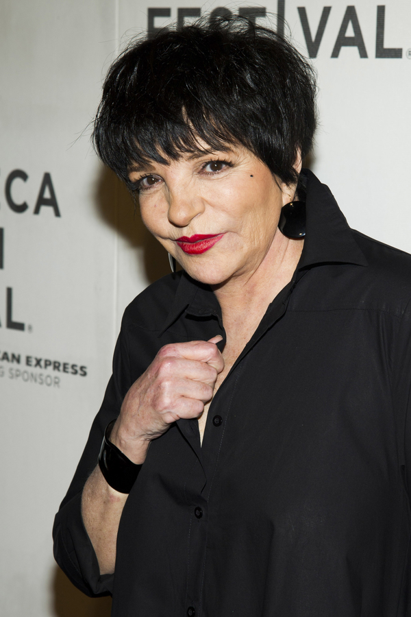 68-летняя Лайза Минелли сломала позвоночник из-за собаки