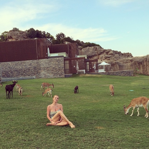 Анастасия Волочкова сфотографировалась в компании турецких козочек