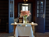 Когда лучше покупать растения и что говорит об этом астрология