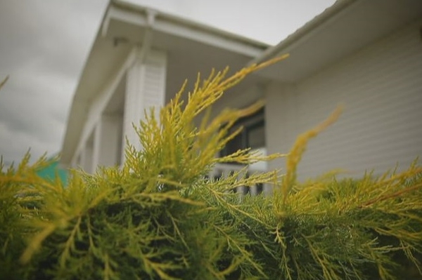 Пресс-служба ICTV