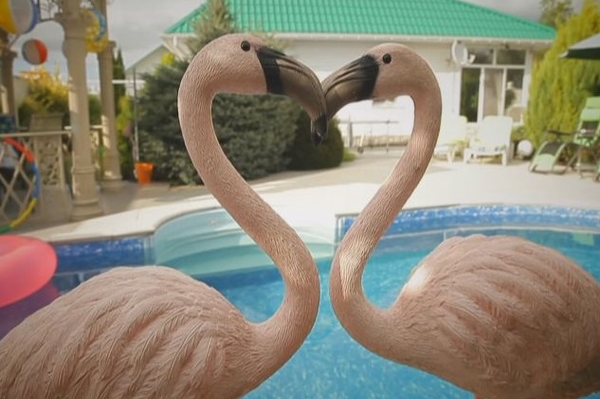 Пресс-служба ICTV