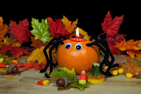 Как сделать тыкву-паучка на Хэллоуин