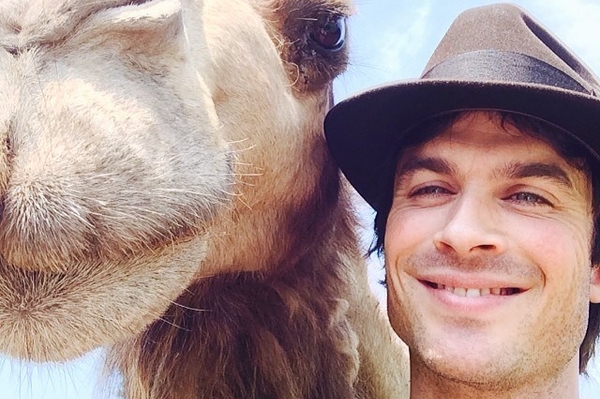 instagram.com/iansomerhalder