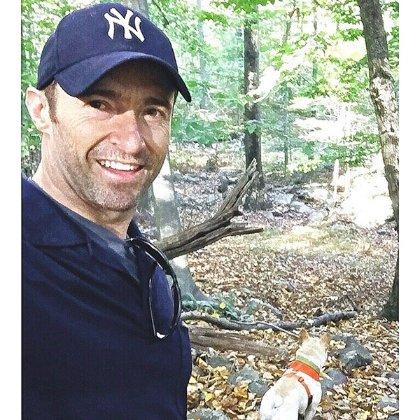 Хью Джекман удивил поклонников своей спортивной формой