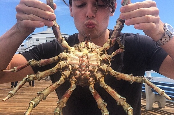 instagram.com/patrickschwarzenegger