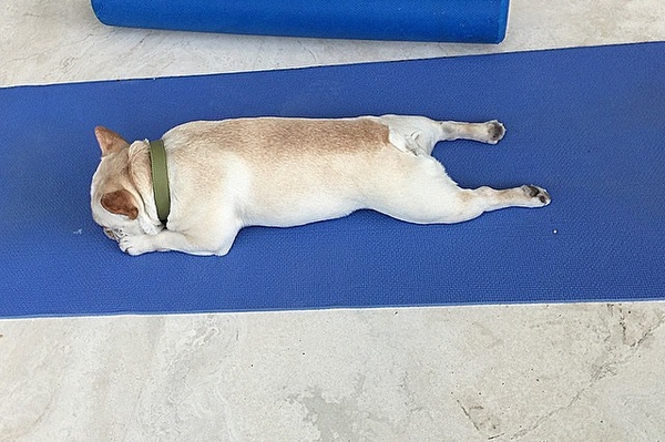 instagram.com/thehughjackman