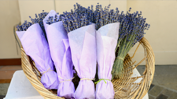 День вооруженных сил Украины – прикольные поздравления