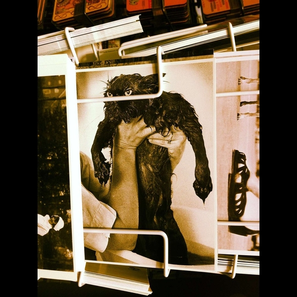 Посткроссинг: Свободно обменивайся открытками со всем миром