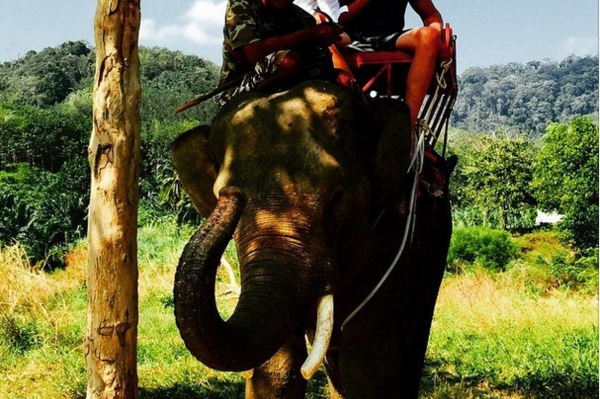 instagram.com/mariagorban