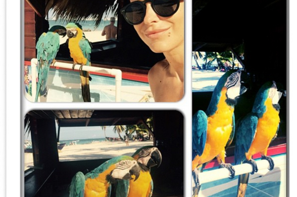 instagram.com/anilorak